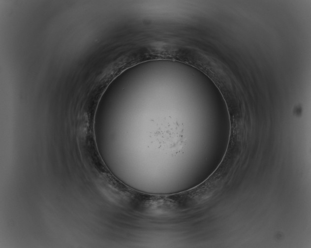 X0000093440752200710191041