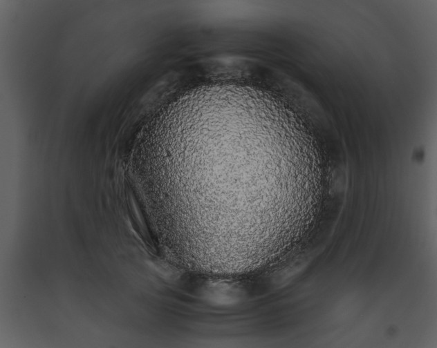 X0000093440753200710191041