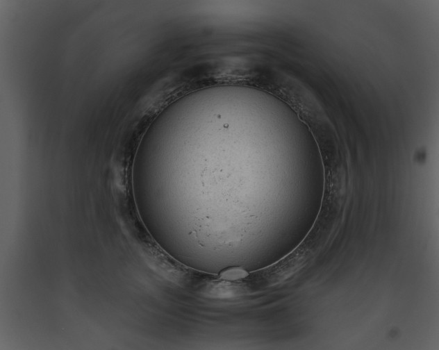 X0000093440755200710191041
