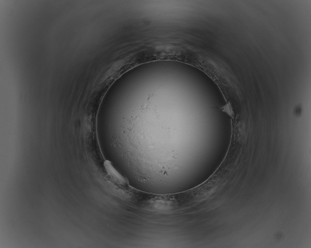 X0000093440756200710191041