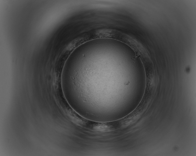 X0000093440759200710191041
