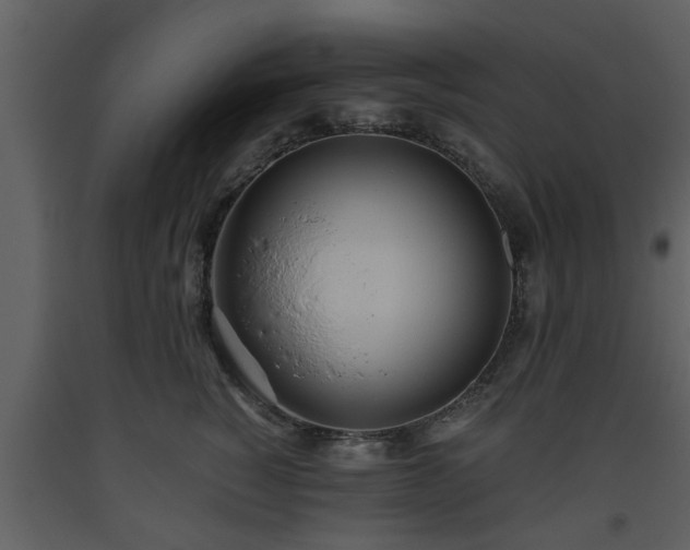 X0000093440760200710191041