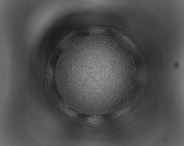 X0000093440761200710191041