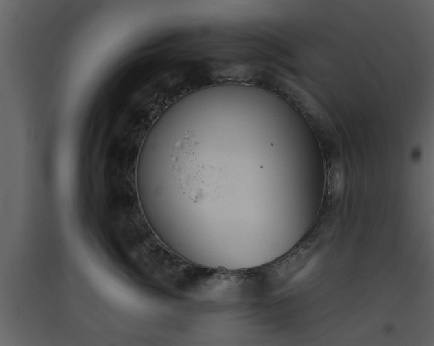 X0000093440764200710191041