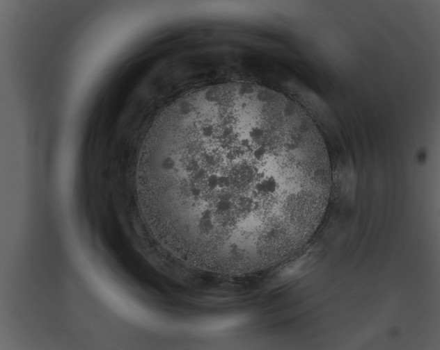 X0000093440765200710191041