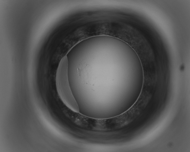 X0000093440766200710191041