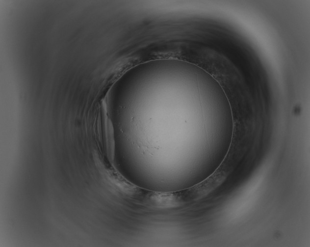 X0000093440767200710191041