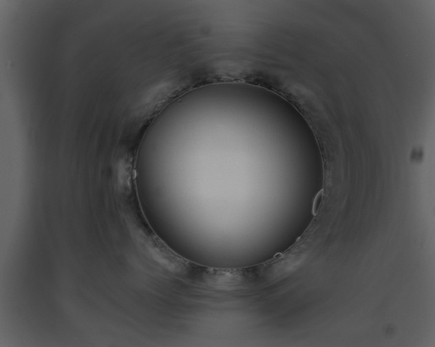X0000093440768200710191041