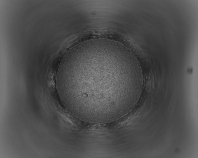 X0000093440770200710191040