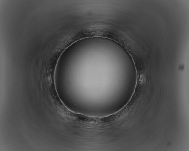 X0000093440771200710191040