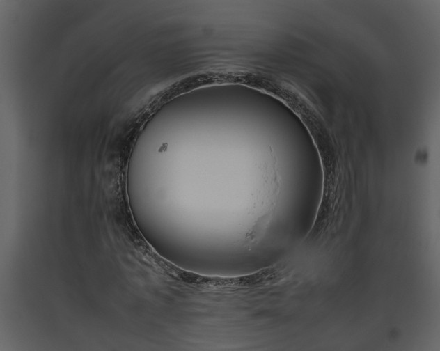 X0000093440773200710191040