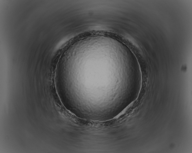 X0000093440775200710191040