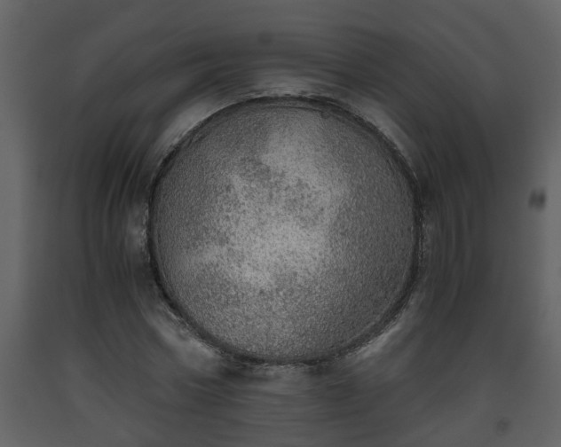 X0000093440778200710191040