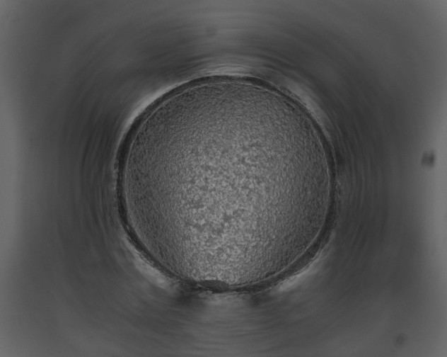 X0000093440779200710191040