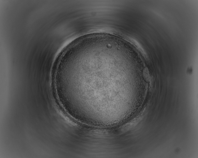 X0000093440780200710191040
