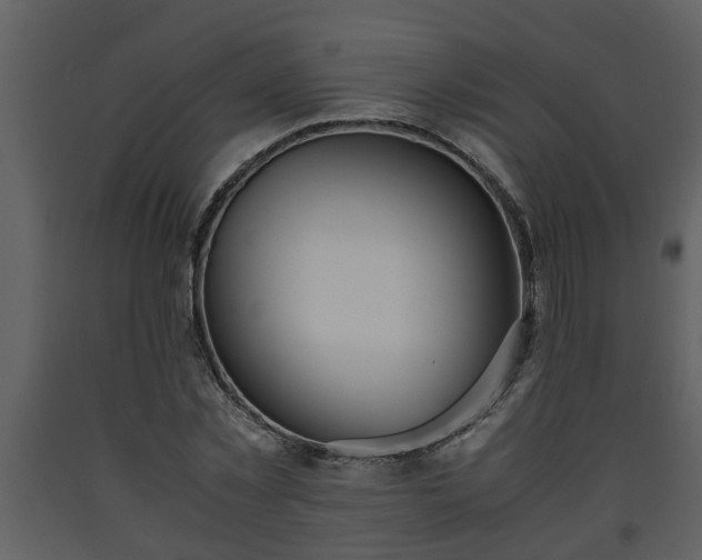 X0000093440781200710191040