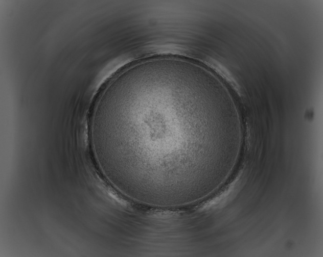 X0000093440782200710191040