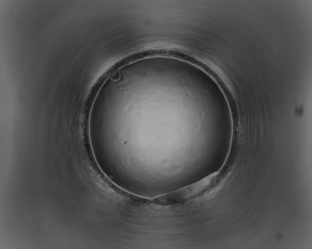 X0000093440783200710191040