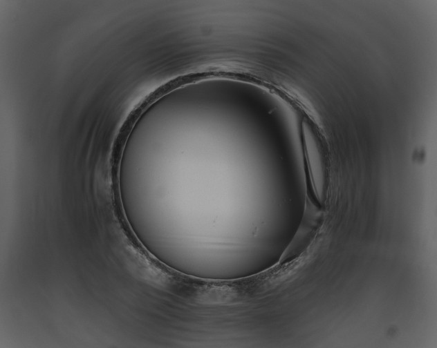 X0000093440784200710191040