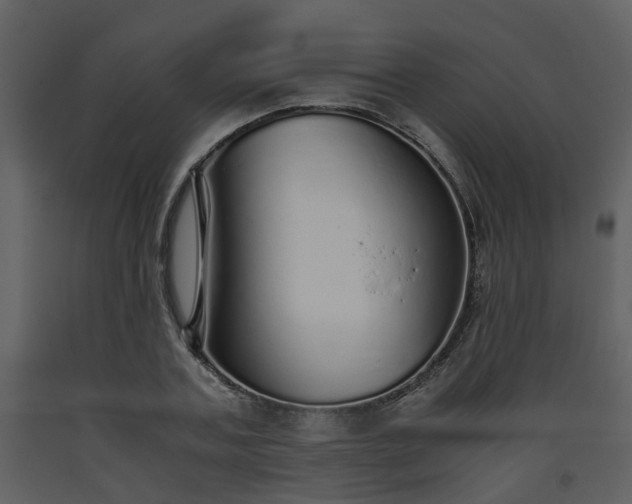 X0000093440787200710191040