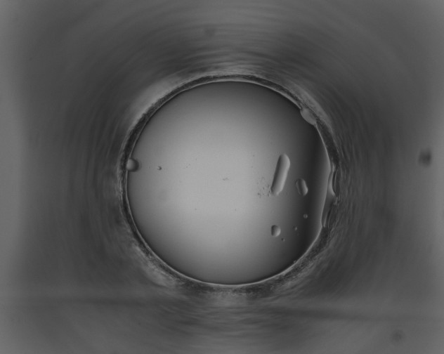 X0000093440789200710191040