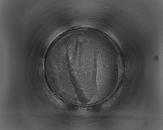X0000093440790200710191040