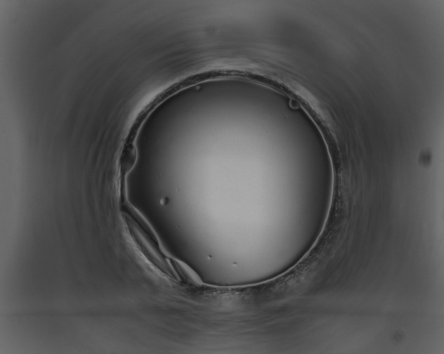 X0000093440791200710191040