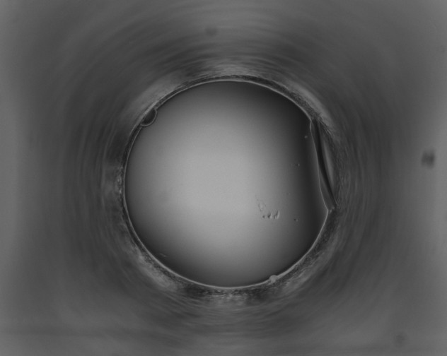 X0000093440793200710191040