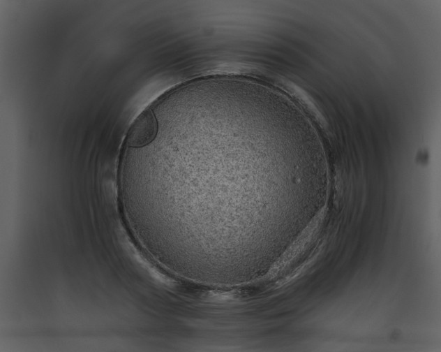 X0000093440794200710191040