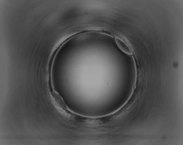 X0000093440795200710191040