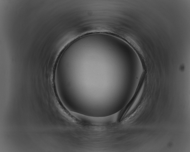 X0000093440797200710191040
