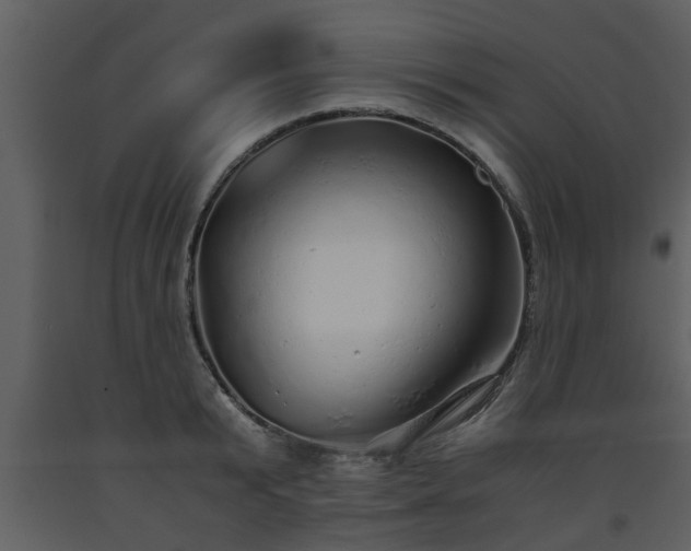 X0000093440799200710191040