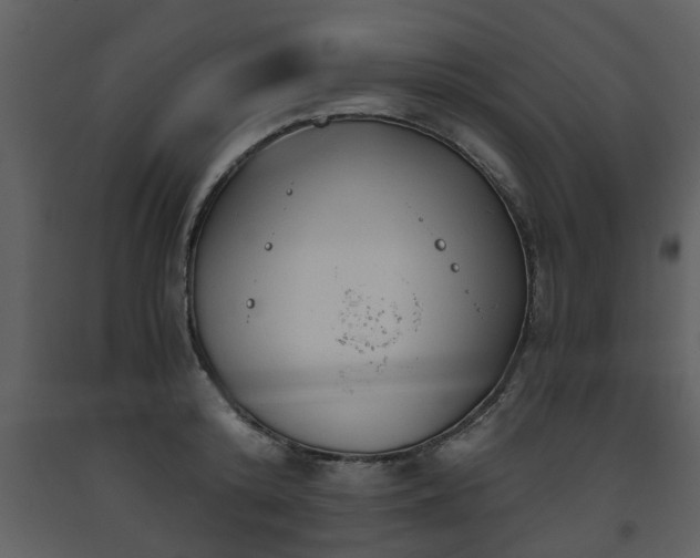 X0000093440800200710191040
