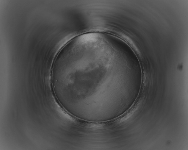X0000093440802200710191040