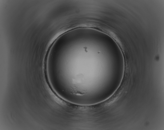 X0000093440803200710191040