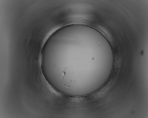 X0000093440804200710191040