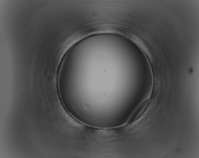 X0000093440805200710191040