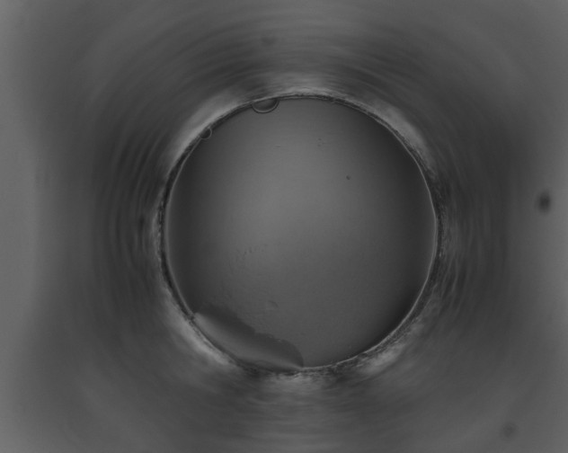 X0000093440806200710191040