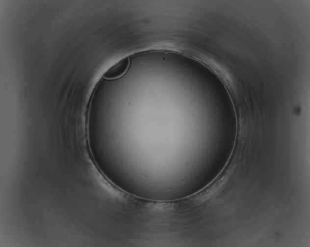 X0000093440808200710191040