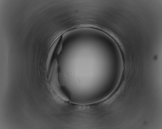 X0000093440809200710191040