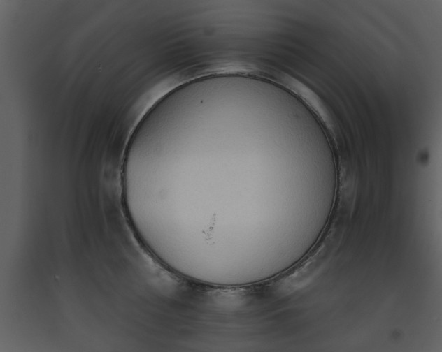 X0000093440810200710191040