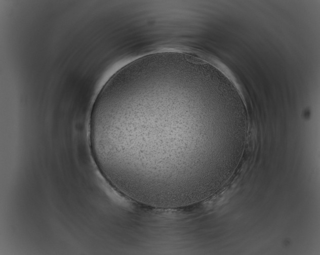 X0000093440811200710191040
