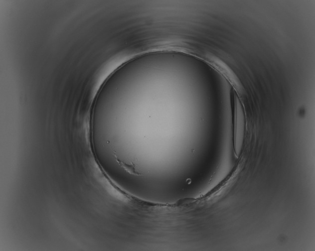 X0000093440812200710191040