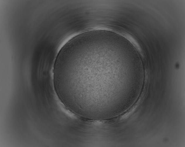 X0000093440814200710191040