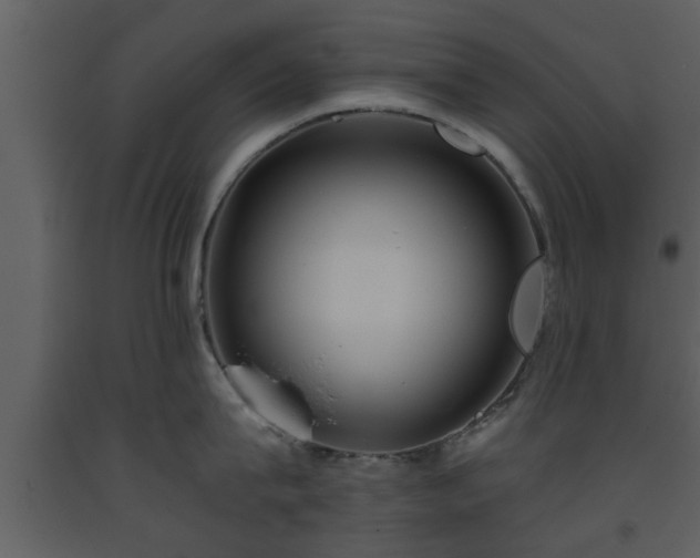 X0000093440815200710191040