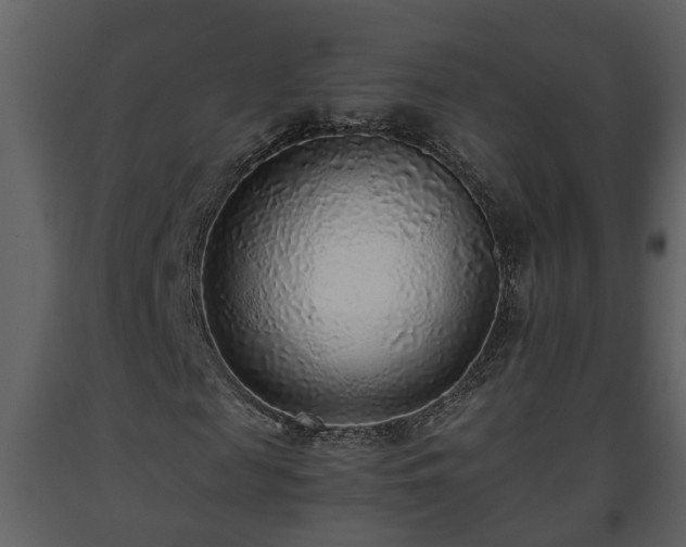 X0000093440817200710191039