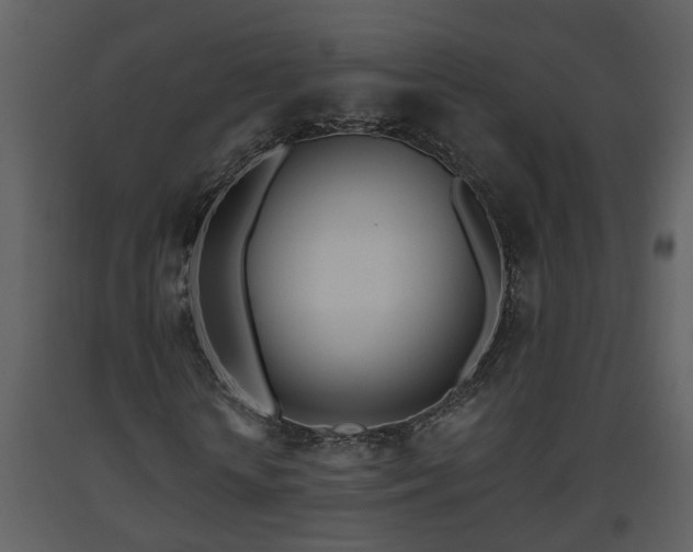 X0000093440818200710191039