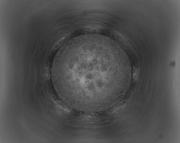 X0000093440819200710191039