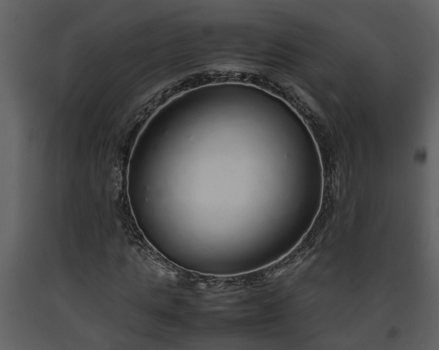 X0000093440821200710191039