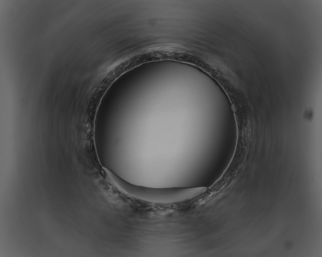 X0000093440822200710191039